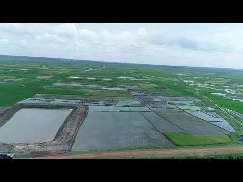 Riverside Crop Initiative