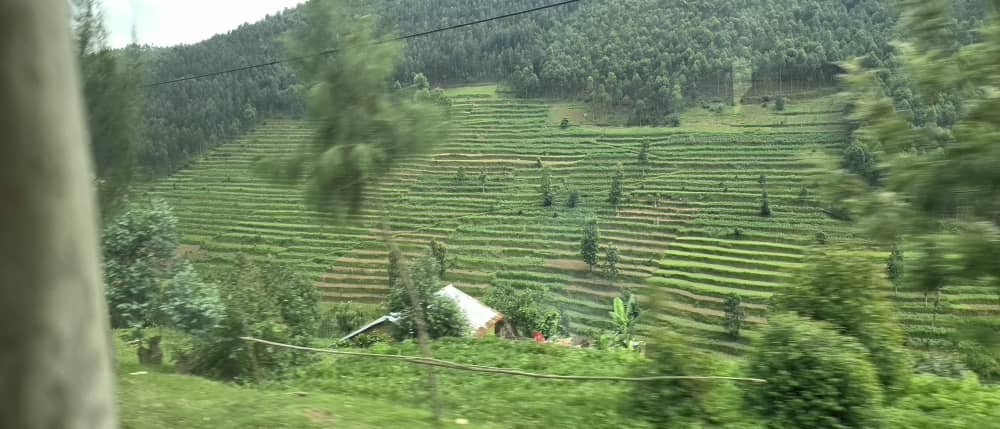 Agriculture