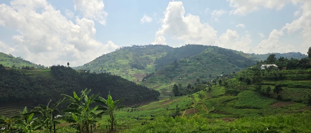 Agriculture